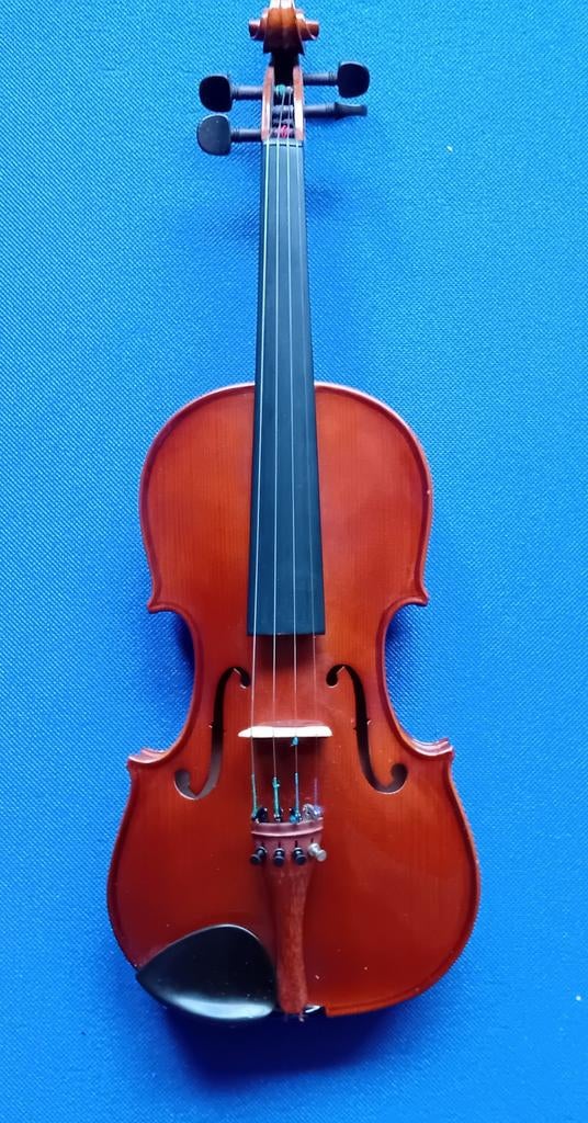 Stentor Student Standard Viool 4/4 - Zo goed als nieuw, Viool, Ophalen of Verzenden, Zo goed als nieuw, Stentor Music
44 Albert Road North
Reigate
RH2 9EZ
United Kingdom