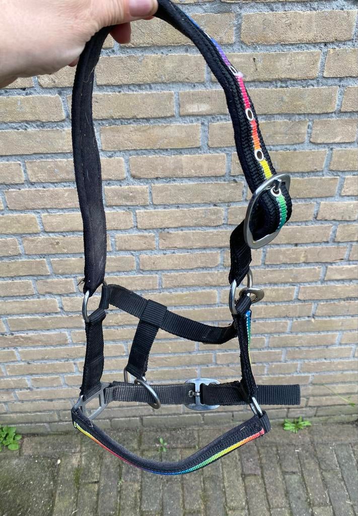 Halster voor shetland pony, zgan, Ophalen of Verzenden, Zo goed als nieuw, Overige soorten