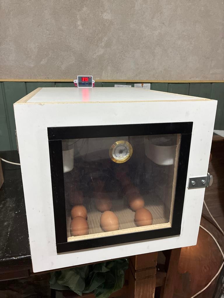 Broedmachine, Ophalen of Verzenden, Zo goed als nieuw, Broedmachine