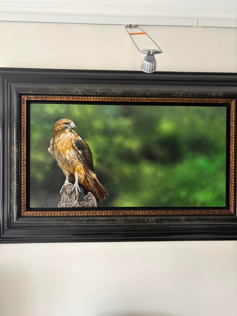 Prachtig Schilderij Roodstaartbuizerd - Uniek Kunstwerk, Ophalen of Verzenden