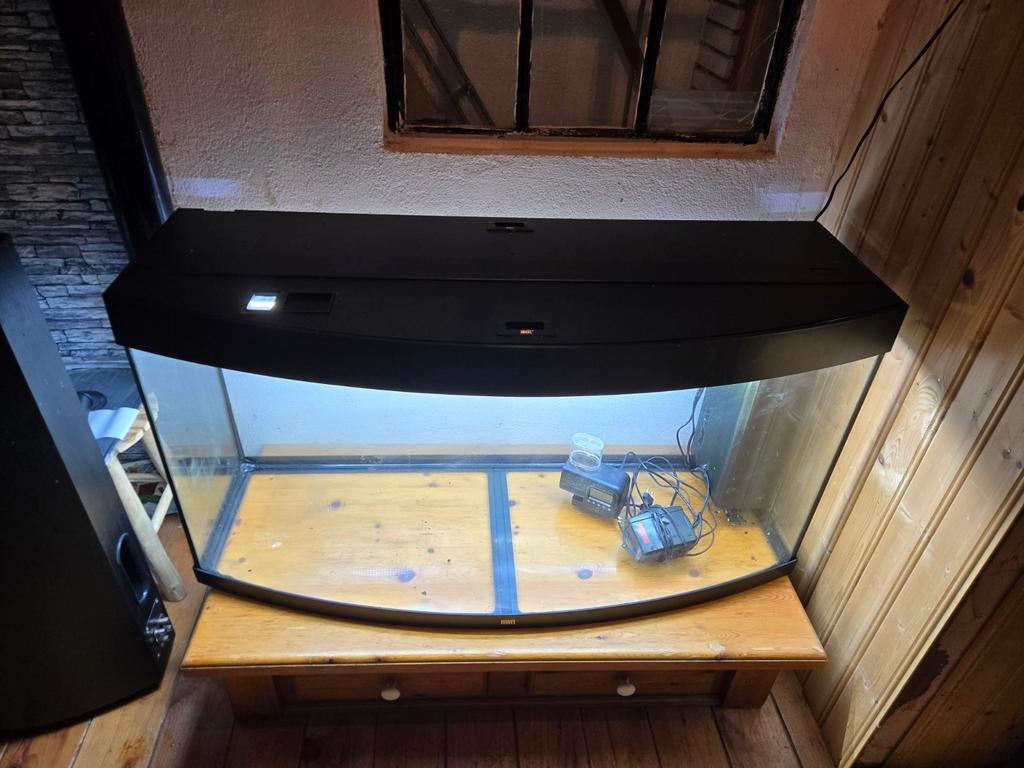 Juwel vision 260, Dieren en Toebehoren, Vissen | Aquariumvissen, Vis, Zoetwatervis