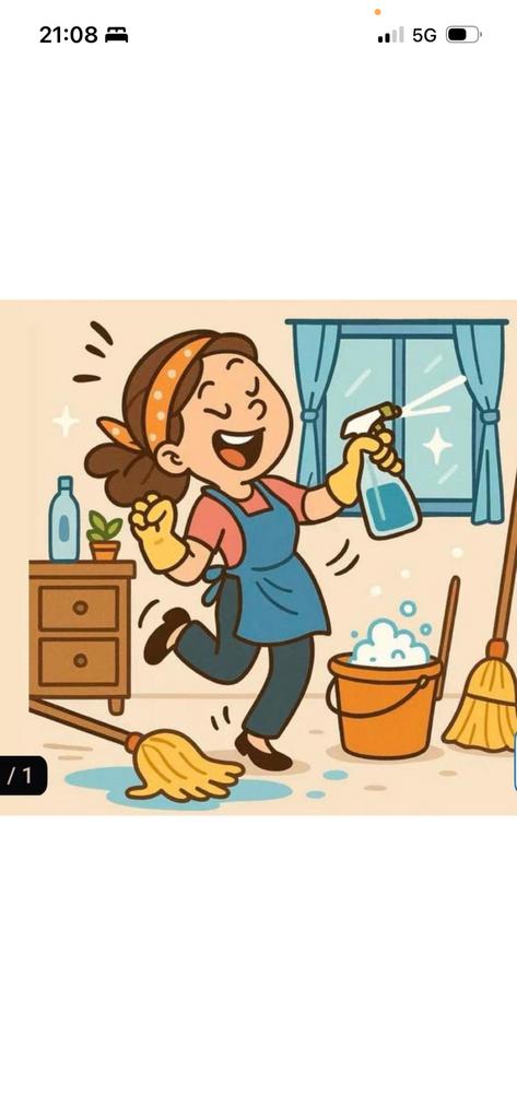 Schoonmakers huishouden, Vanaf 10 jaar, Overige vormen