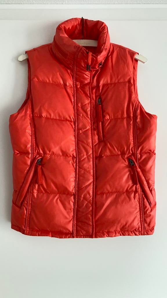 bodywarmer dames maat 36/38, merk JoopJeans!, Kleding | Dames, Bodywarmers, Ophalen of Verzenden, Zo goed als nieuw, Maat 36 (S)