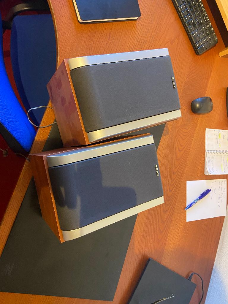 speakers Sony, Audio, Tv en Foto, Luidsprekers, Ophalen of Verzenden, Zo goed als nieuw, Sony, Minder dan 60 watt