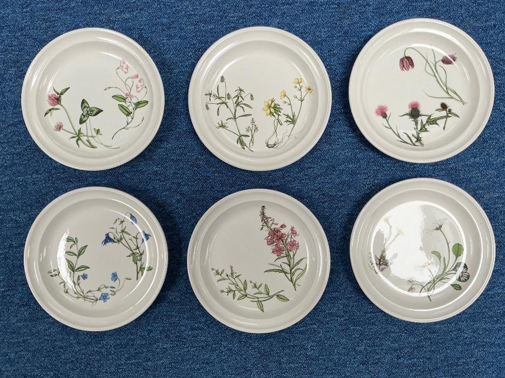 6 Portmeirion Queens Hidden Garden-Gebaksbordjes, Ophalen of Verzenden, Zo goed als nieuw, Bord(en), Overige stijlen