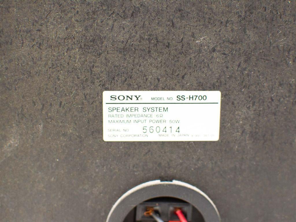 2 sony luidsprekers 33515, Audio, Tv en Foto, Luidsprekers, Gebruikt, Ophalen of Verzenden, Sony, 120 watt of meer