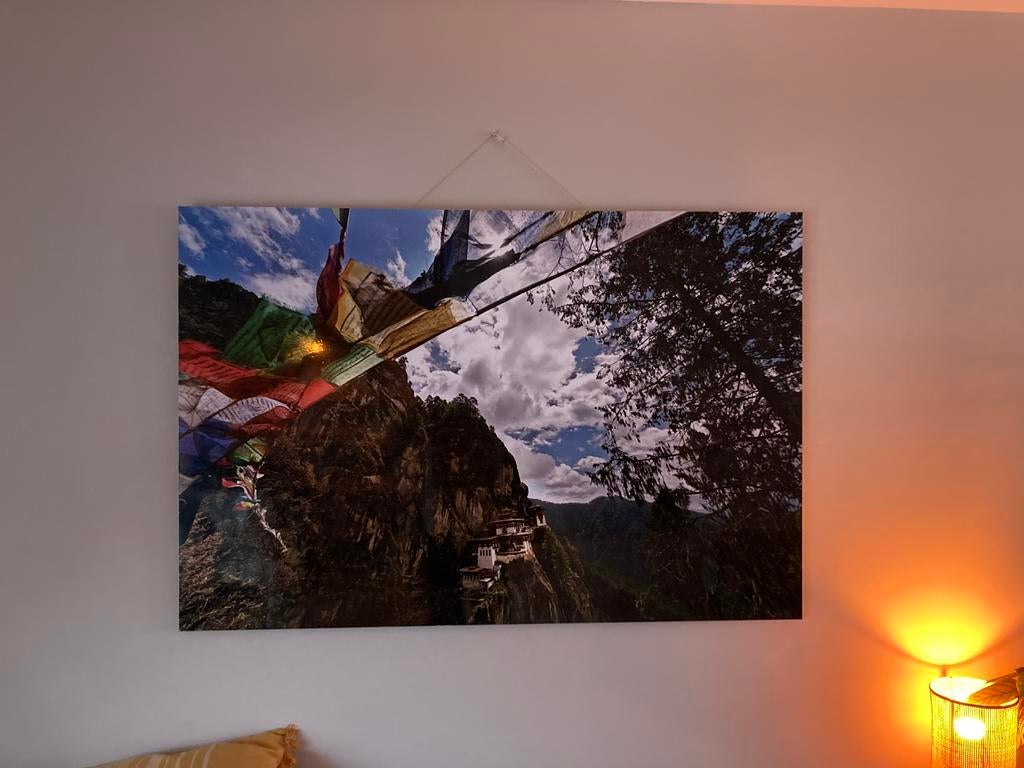 Prachtige foto op plaat van yellowkorner., Ophalen of Verzenden