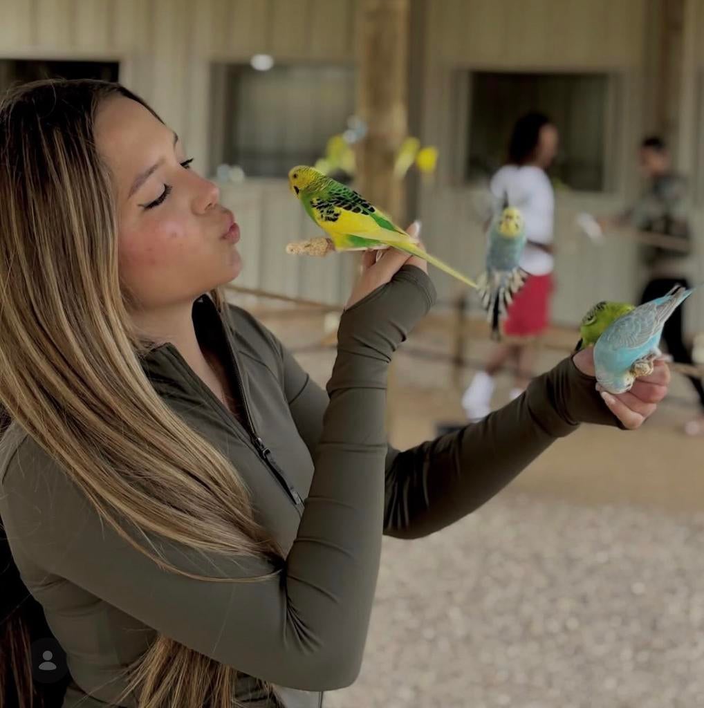 regenboog parkietjes, Dieren en Toebehoren, Vogels | Parkieten en Papegaaien, Meerdere dieren, Parkiet, Pratend