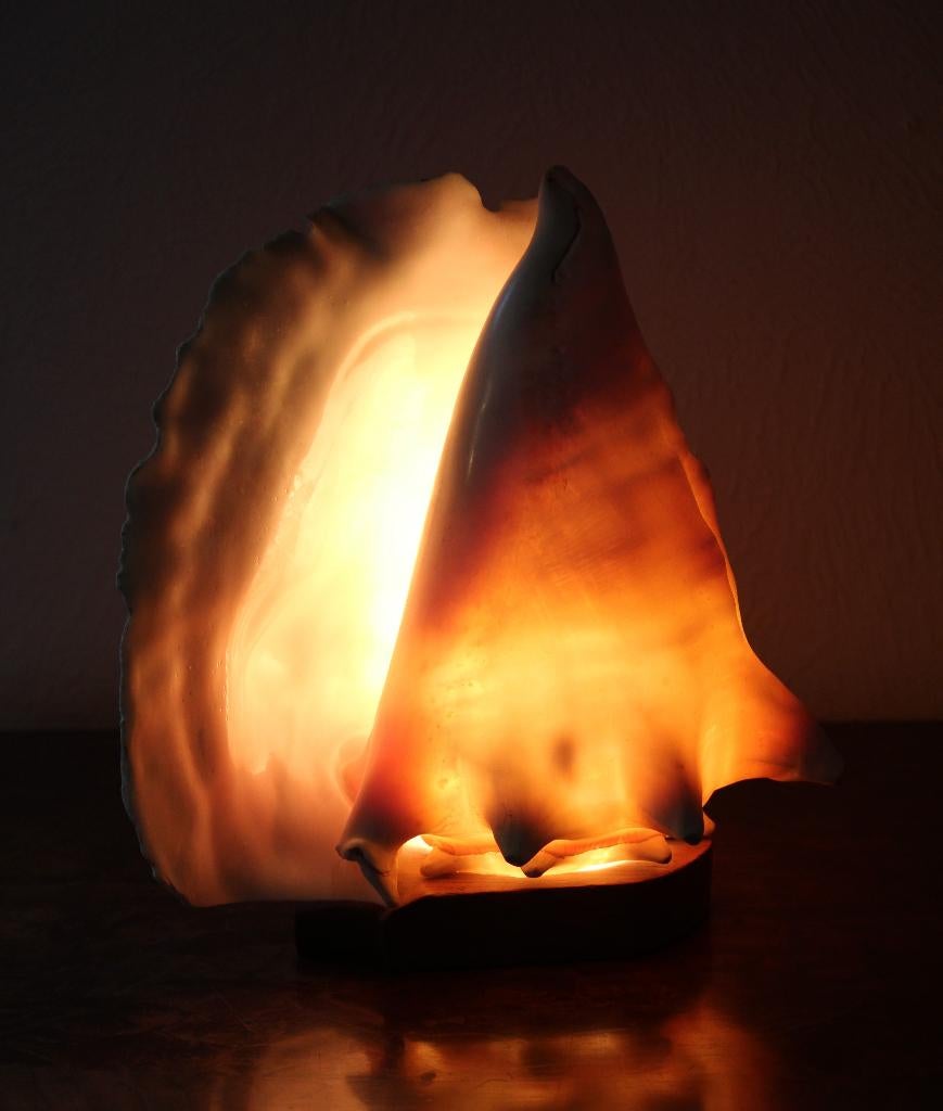 lamp schelp schelplamp, Ophalen