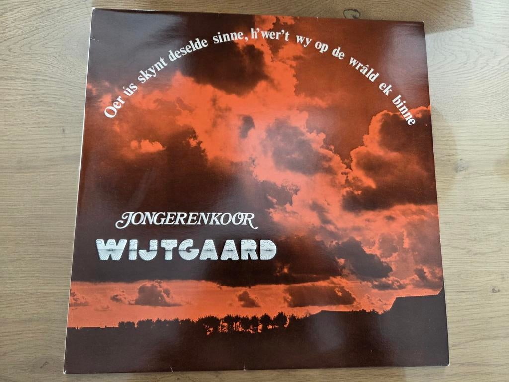 LP Jongerenkoor Wytgaard, Ophalen of Verzenden, Gebruikt