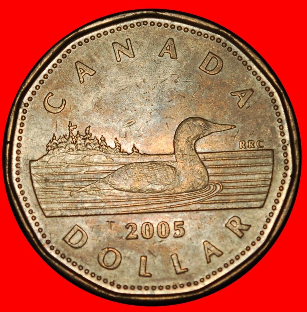Ⰺ LUCKY LOONIE (2004-2023): CANADA 1 DOLLAR 2005!, Ophalen of Verzenden, Noord-Amerika, Losse munt