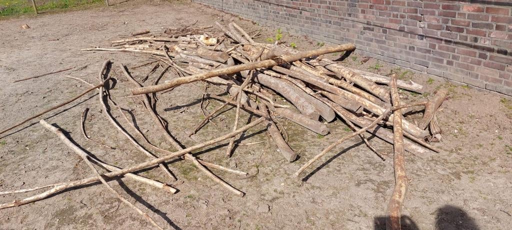 Wilgentakken zonder bast brandhout gratis, Minder dan 3 m³, Ophalen