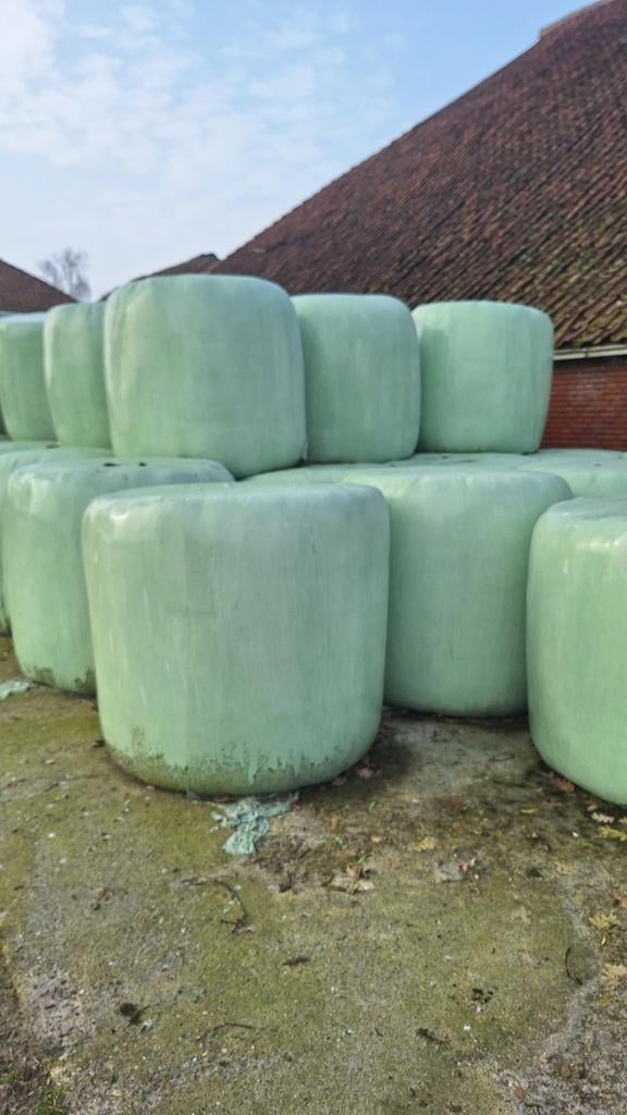 Ronde balen, Dieren en Toebehoren, Dierenvoeding, Ophalen of Verzenden, Vee