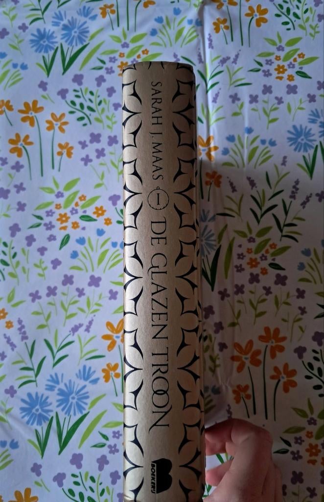 De Glazen troon (Sarah j. Maas), Boeken, Ophalen of Verzenden, Zo goed als nieuw