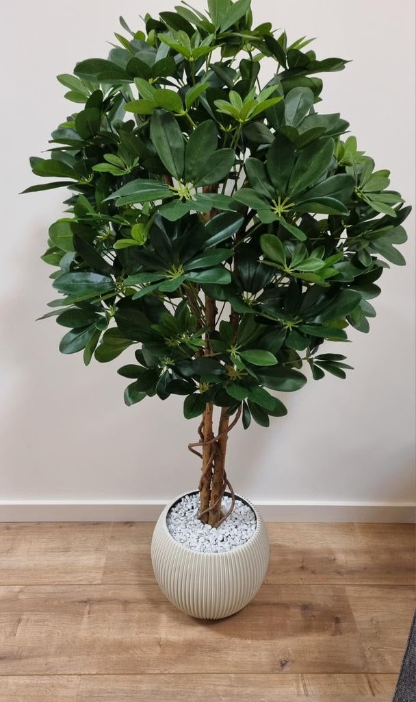 Kunstplant Schefflera 120 cm, Ophalen, Zo goed als nieuw, Binnen