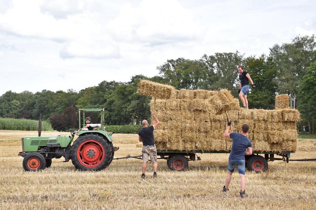 Strobaaltjes, Ophalen