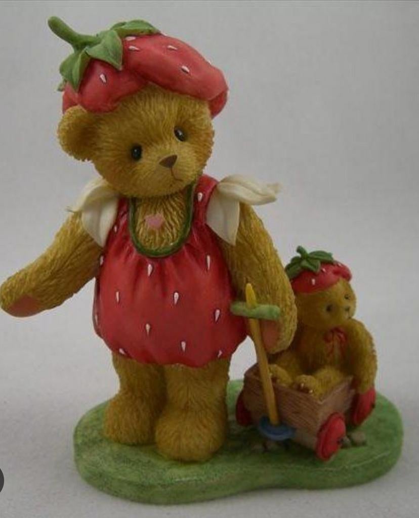 GEVRAAGD Cherished Teddies, Ophalen of Verzenden, Zo goed als nieuw, Beeldje, Cherished Teddies