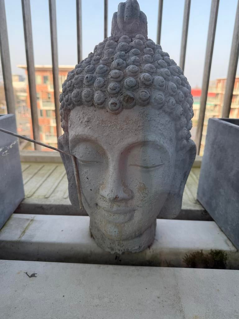 Boeddha hoofd beeld - Grijs beton look, Ophalen of Verzenden, Gebruikt