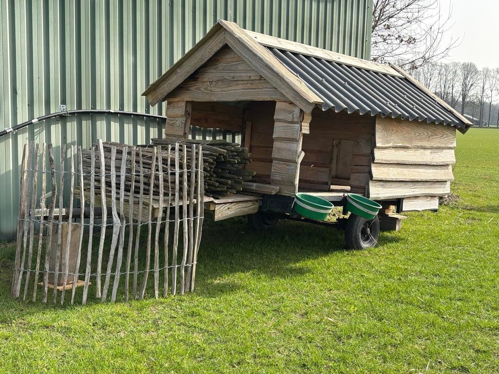 Compleet geitenhok/weide, Dieren en Toebehoren, Schapen, Geiten en Varkens, Meerdere dieren, Geit