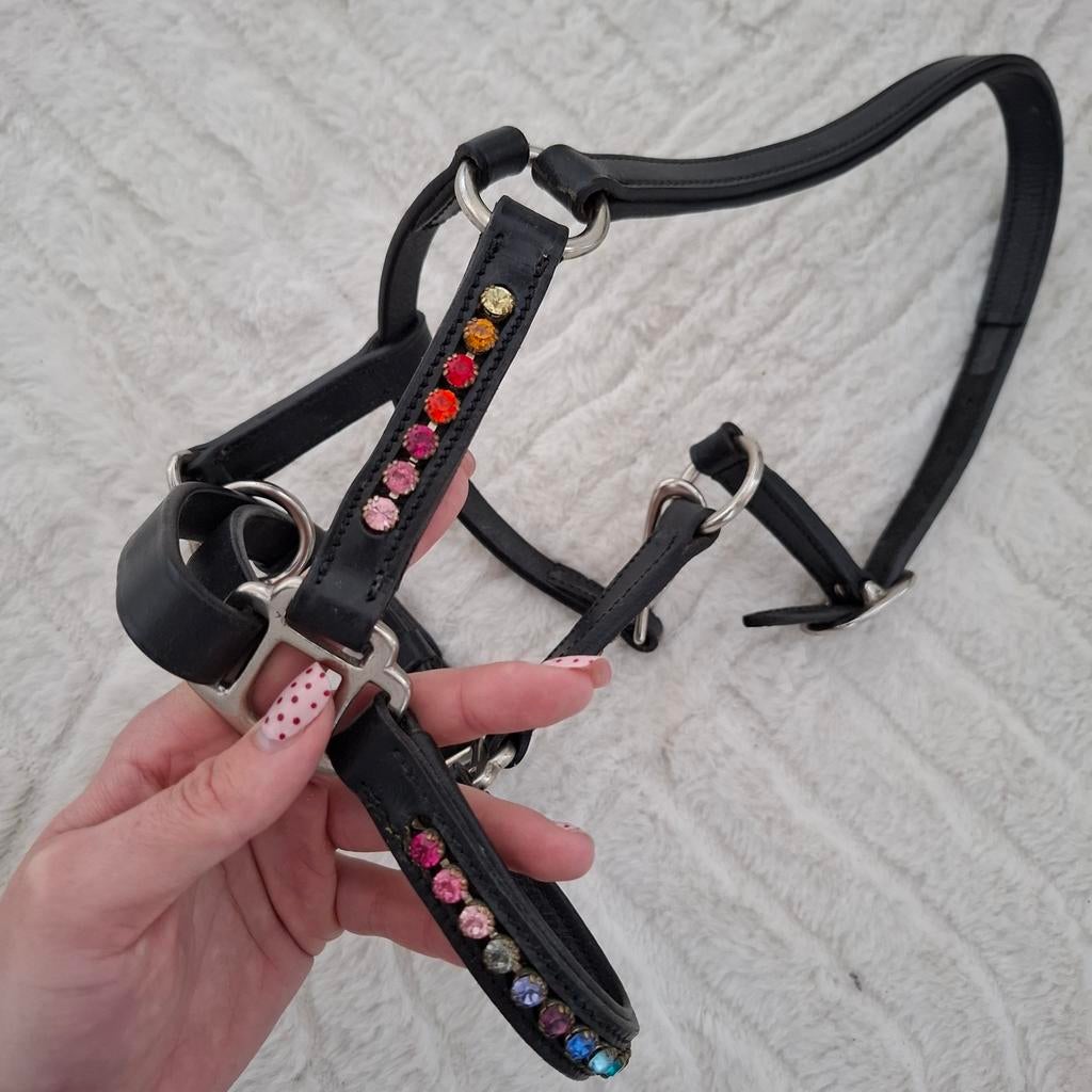 Zwart leren halster met strassteentjes., Ophalen of Verzenden, Nieuw, Overige soorten