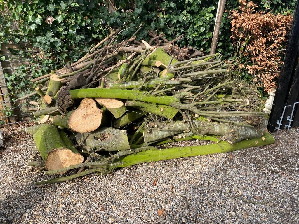 Brandhout haardhout te koop beuken, Minder dan 3 m³, Ophalen