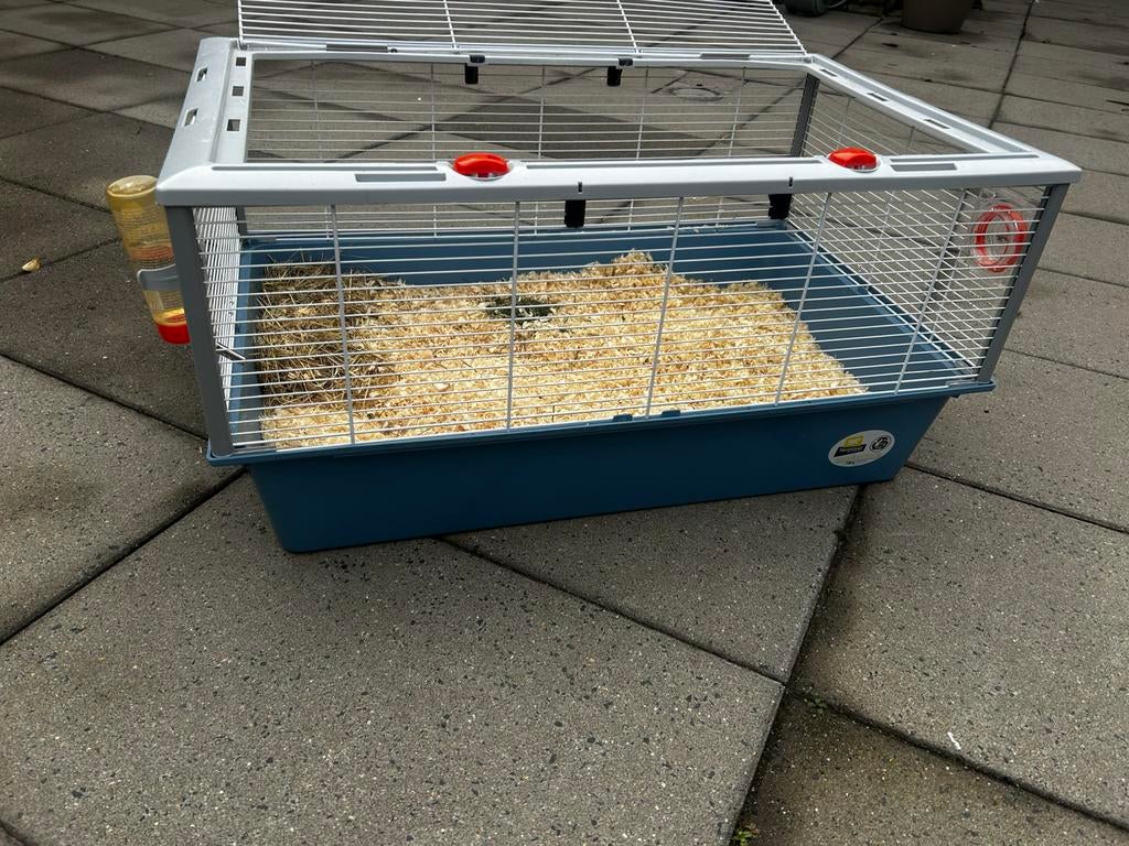 Hamster/cavia kooi, Dieren en Toebehoren, Knaagdieren en Konijnen | Hokken en Kooien, Kooi, Gebruikt, 75 tot 110 cm, Cavia