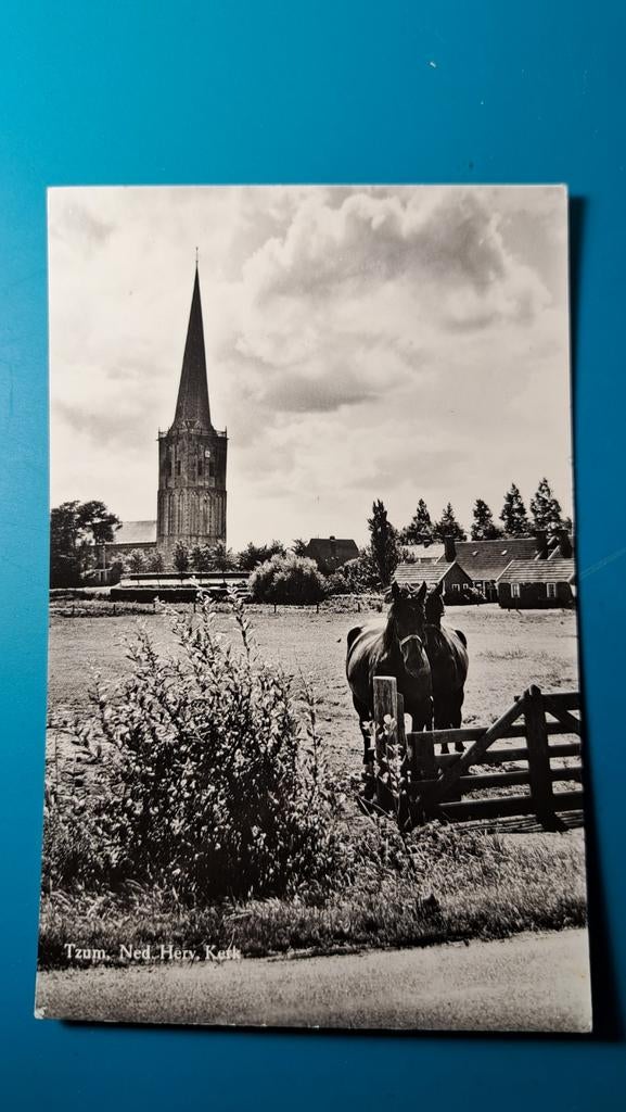Tzum, Verzamelen, Ansichtkaarten | Nederland, Ophalen of Verzenden, Gelopen, Friesland