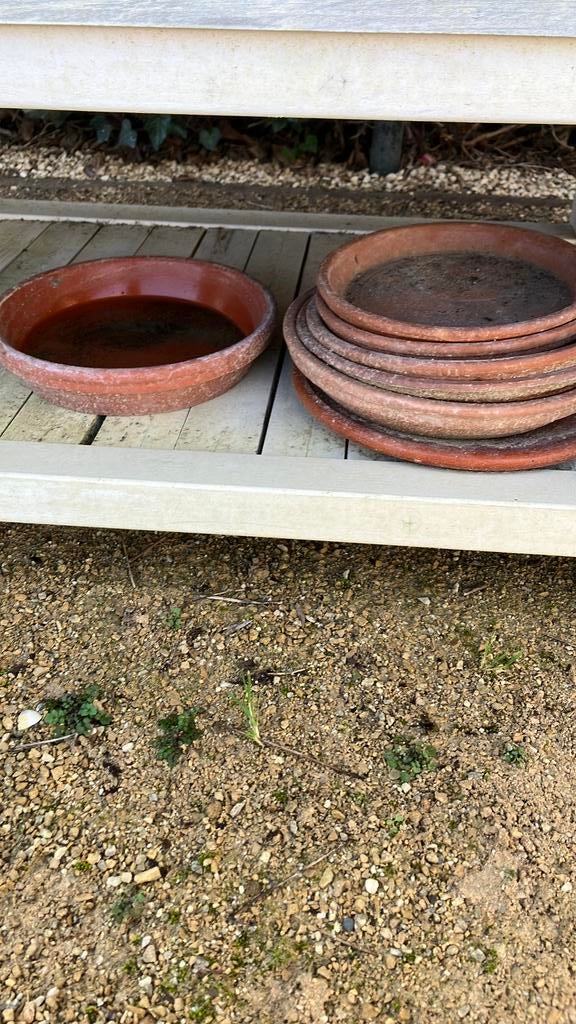 Zeven stuks terracotta schalen, Gebruikt, Rond, Ophalen of Verzenden, Terracotta