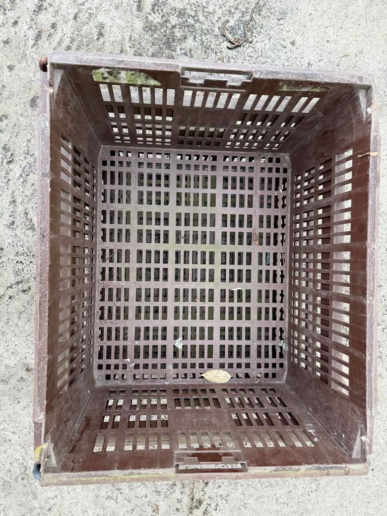 Stapelbare & Nestbare Kratten - Curver - 60x50x30cm, Ophalen, Gebruikt