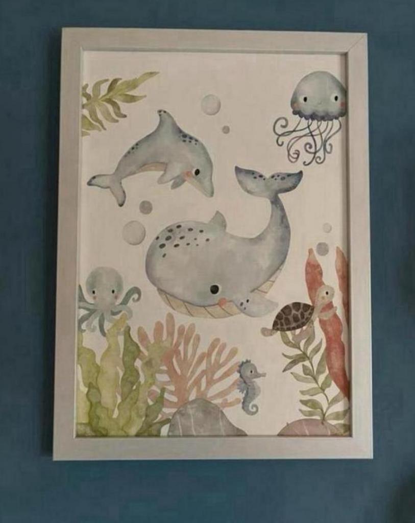 Poster zeedieren/oceaan, Ophalen of Verzenden