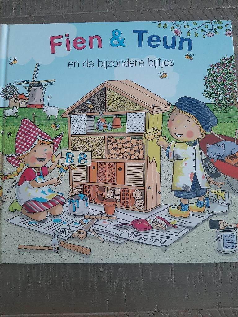 Fien en teun prentenboek, Ophalen, Fictie algemeen, Zo goed als nieuw, Rene Noorderveen