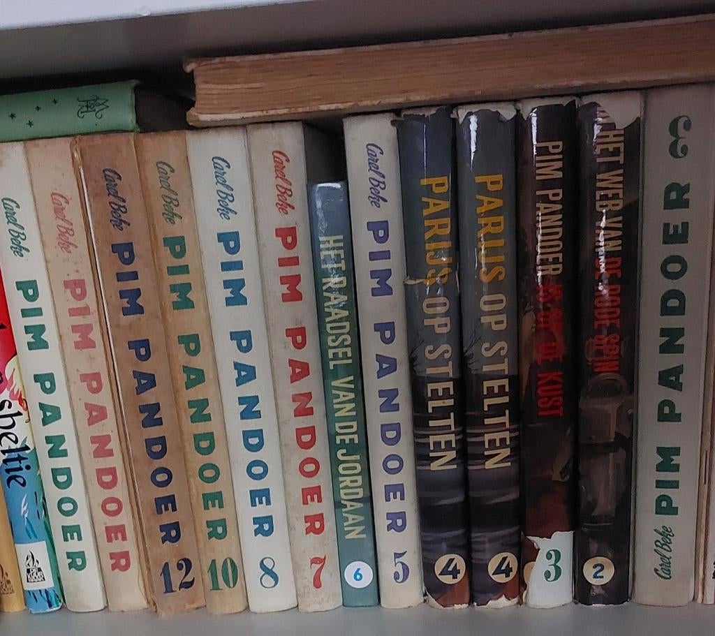 Pim Pandoer, Boeken, Ophalen of Verzenden, Gelezen