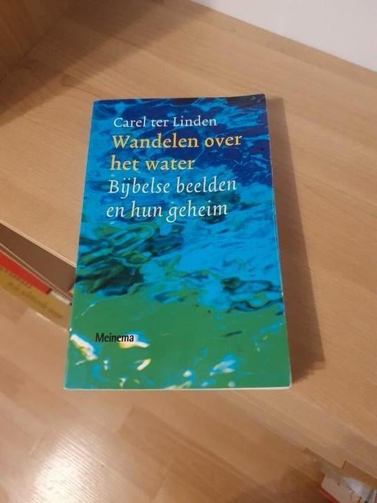 Carel ter Linden - Wandelen over het water, Ophalen of Verzenden, Zo goed als nieuw, Carel ter Linden