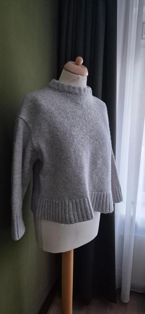 Wollen Trui merk Edited maat 38, Ophalen of Verzenden