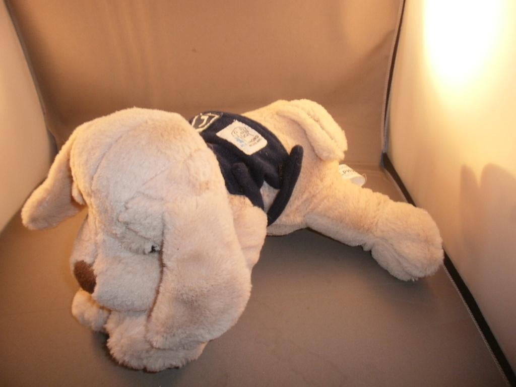 flip de hulp hond Nederland licht bruin met les vest, Ophalen of Verzenden, Nieuw, Hond