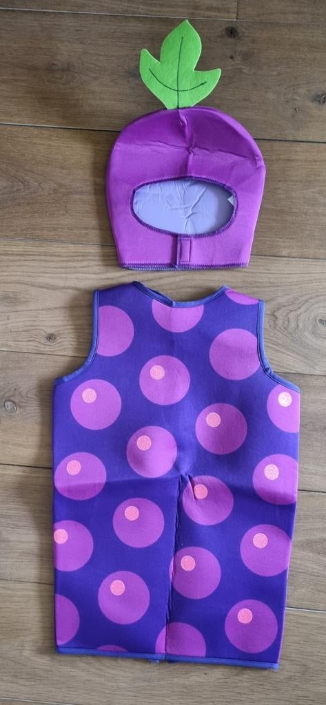 Super leuke Bosbessen verkleedset, Ophalen, Nieuw, 104 of kleiner, Jongen of Meisje