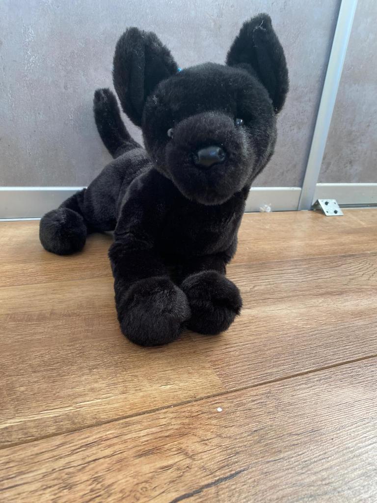 Douglas dog  zwart zgan, Ophalen of Verzenden, Zo goed als nieuw, Hond