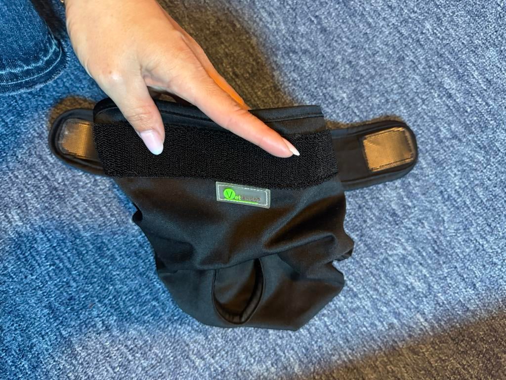 Labradoodle medium loopsheid broekje M, Ophalen of Verzenden, Zo goed als nieuw