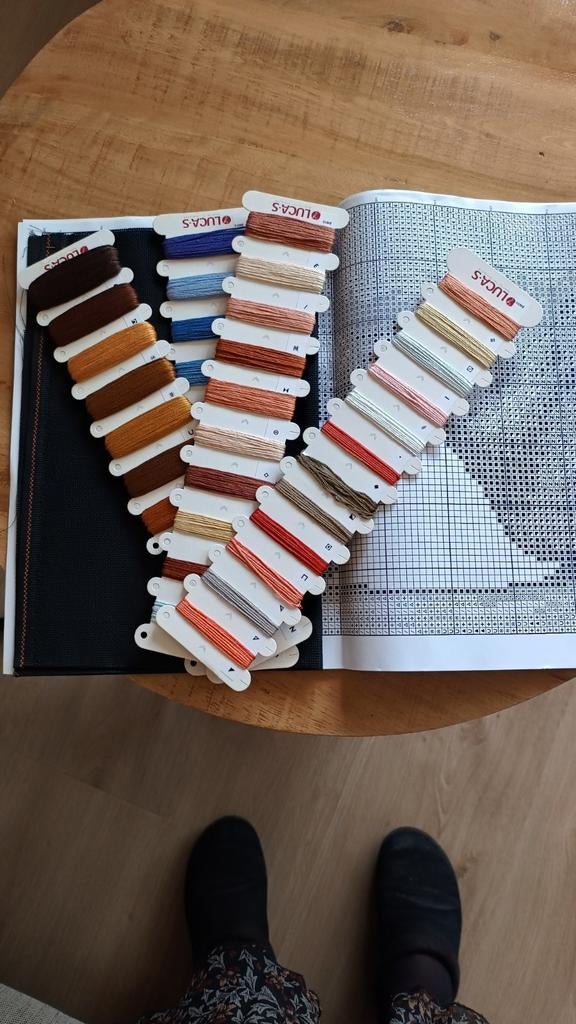 Borduurpakket Meisje met de parel - Compleet, Ophalen of Verzenden