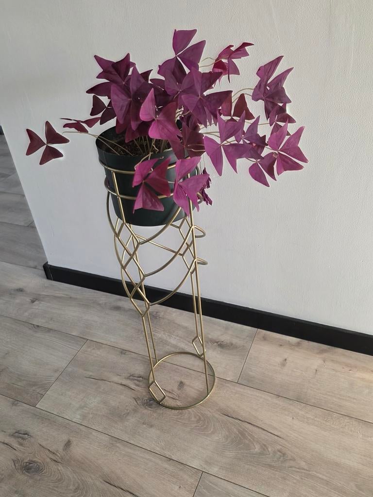 Gouden metalen plantenbak van, Minder dan 60 cm, Rond, Ophalen of Verzenden, Zo goed als nieuw