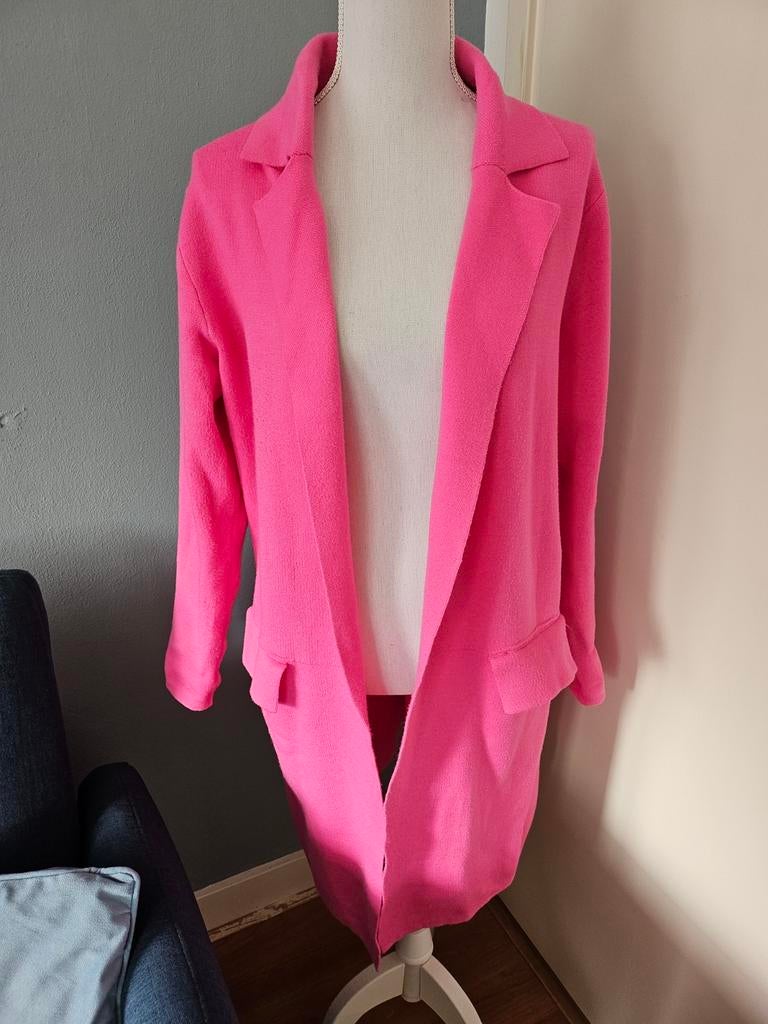 JS Millenium roze ze vest. Maat XXL, Kleding | Dames, Truien en Vesten, Gedragen, Maat 46/48 (XL) of groter, Roze, Ophalen of Verzenden