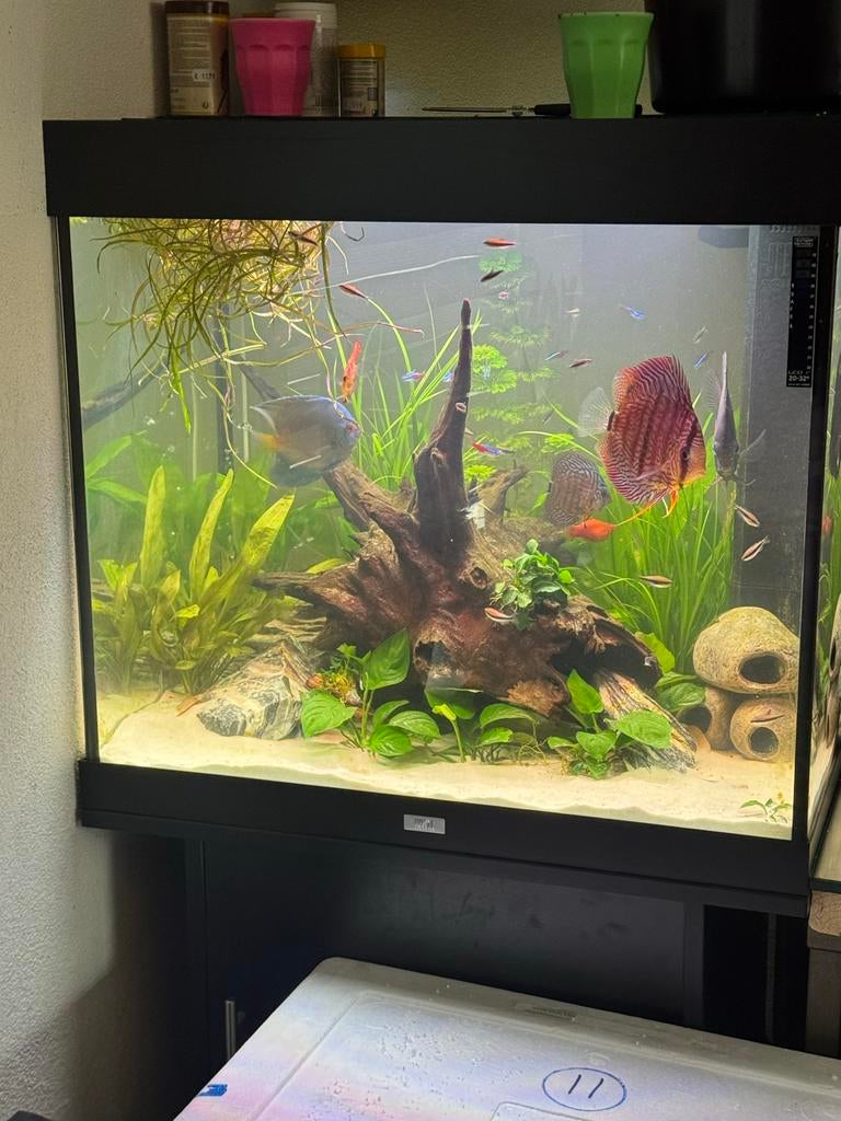 Zeer mooi aquarium Juwel Lido 200, Ophalen of Verzenden, Zo goed als nieuw, Leeg aquarium