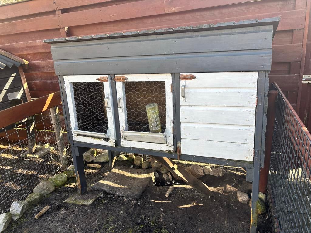 Gratis konijnenhok met 2 konijntjes, Dieren en Toebehoren, Konijnen, Meerdere dieren, Groot, 3 tot 5 jaar