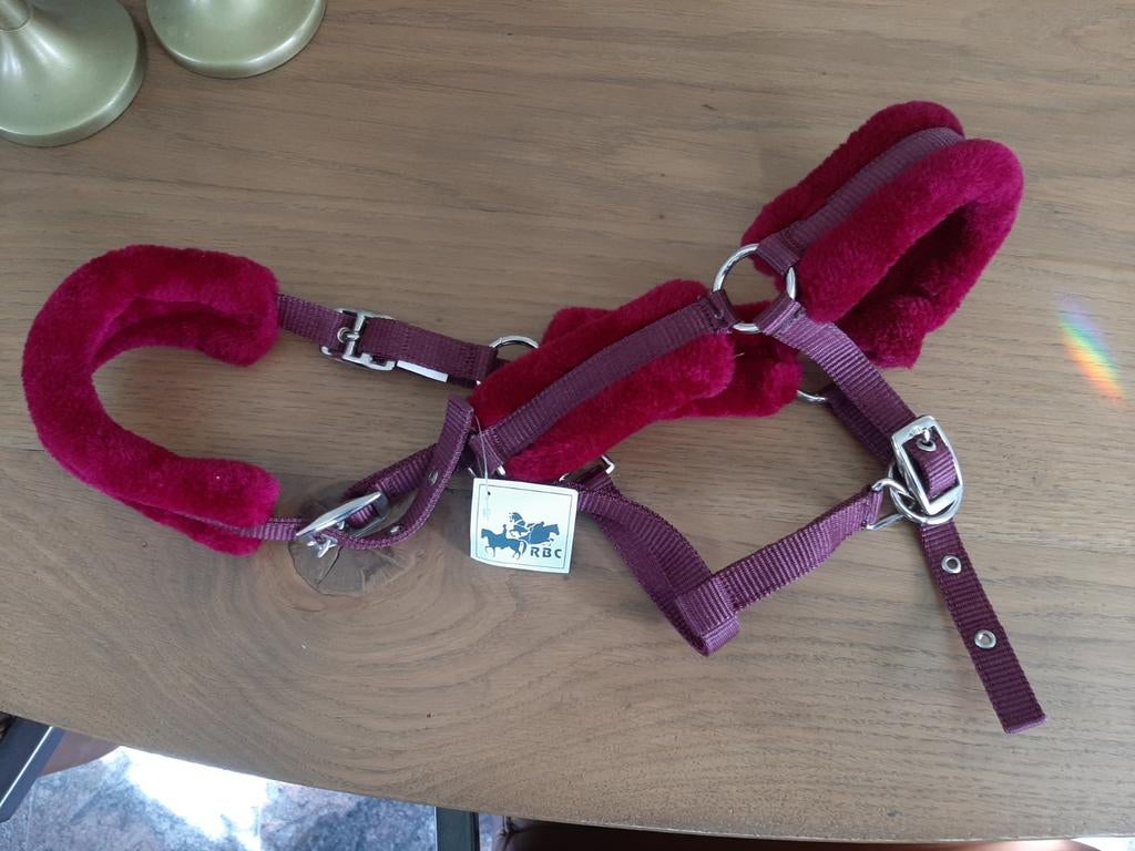 Halster mt pony, nieuw, Dieren en Toebehoren, Ophalen, Nieuw, Overige soorten