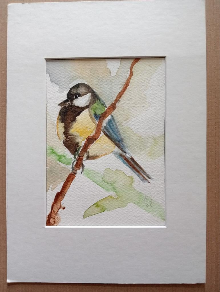 Aquarel Koolmees 2006, Ophalen of Verzenden