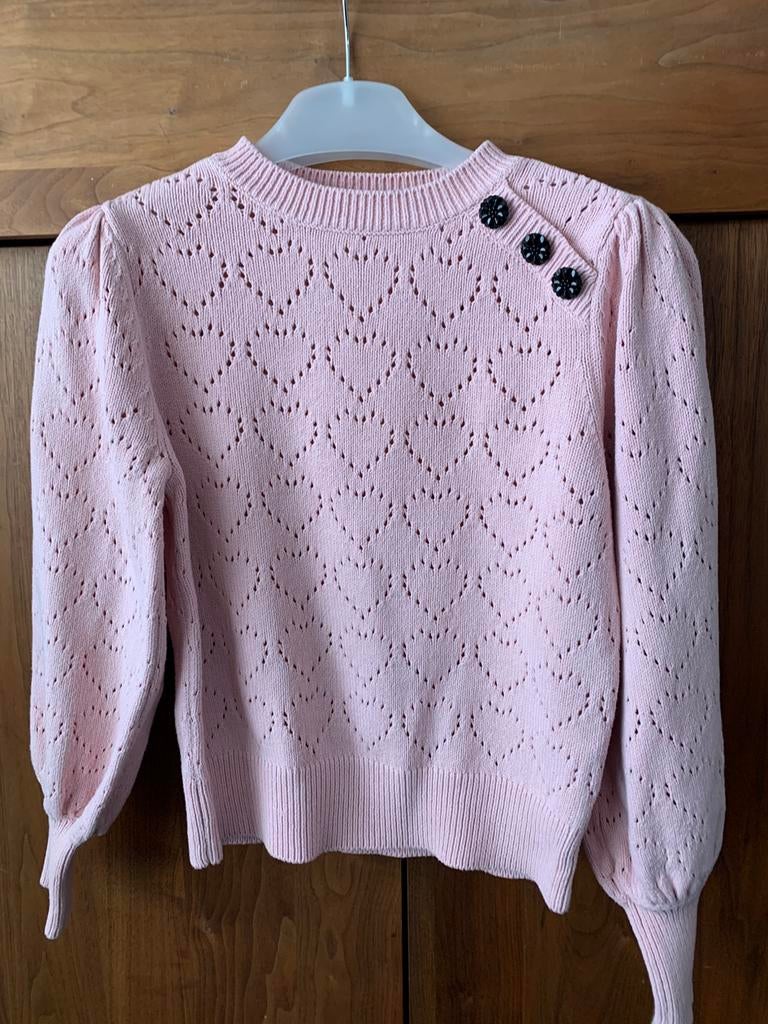 Trui van Fabienne Chapot maat S, Ophalen of Verzenden, Gedragen, Maat 36 (S), Roze