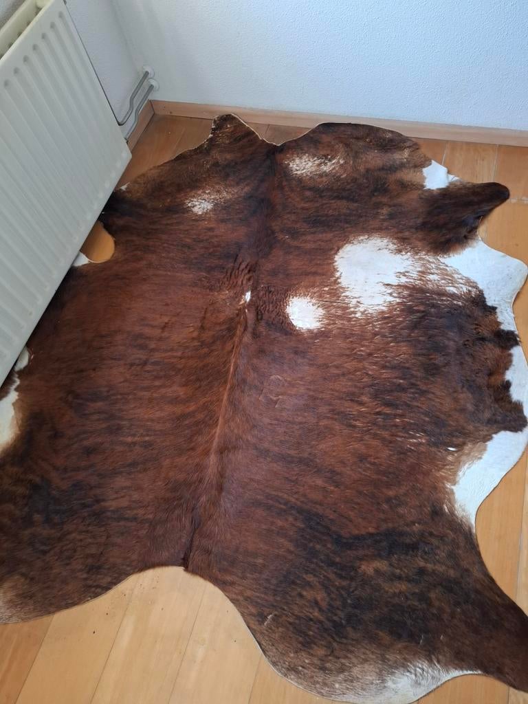 Koeienhuid bruin met wit, Ophalen