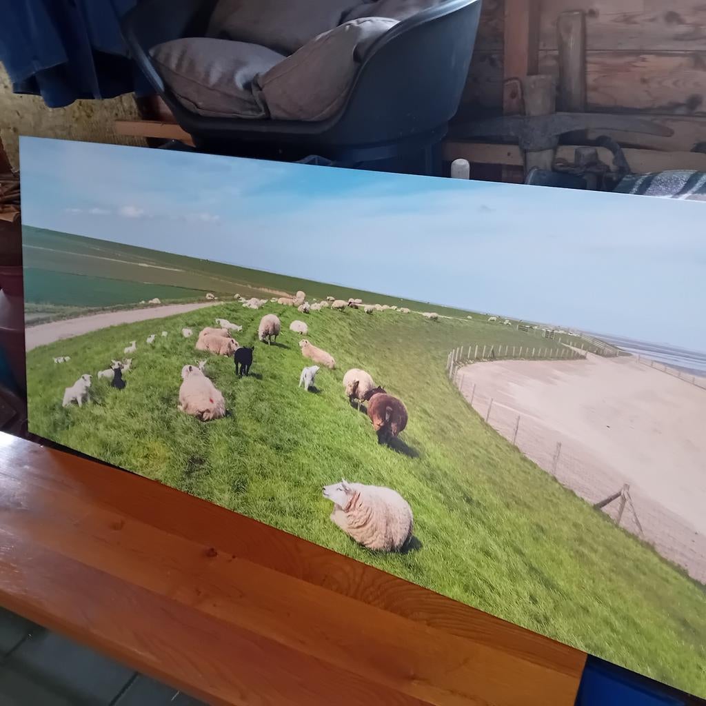 Wanddecoratie / Voorjaar / lente  /waddenzee /  Sneekermeer, Ophalen of Verzenden