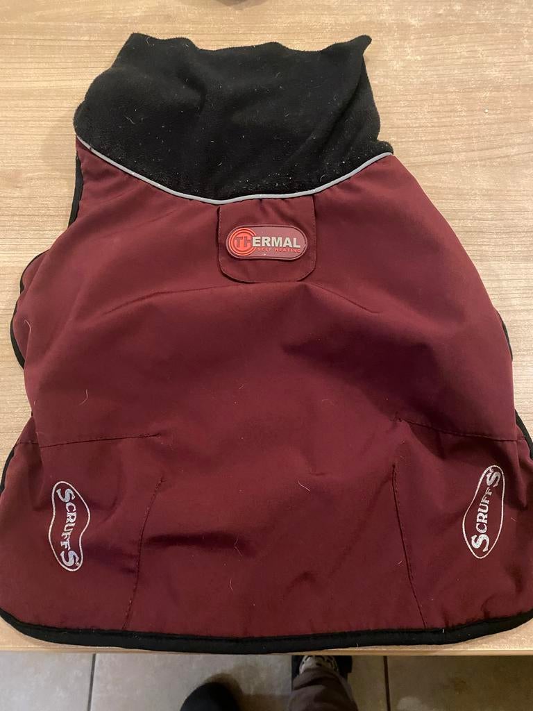 Hondenjas thermo, Dieren en Toebehoren, Ophalen of Verzenden, Hondenjas