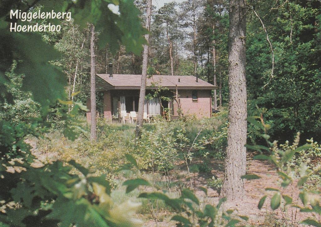HOENDERLOO Vakantiepark Miggelenberg, Verzenden, 1980 tot heden, Gelopen, Gelderland